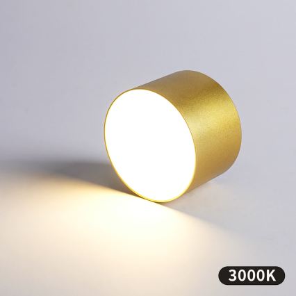 BRILAGI - Venkovní stropní svítidlo FORIS LED/9W/230V pr. 9 cm zlatá IP44