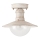 Brilagi - Venkovní stropní svítidlo MOLDE 1xE27/60W IP44 bílá/patina