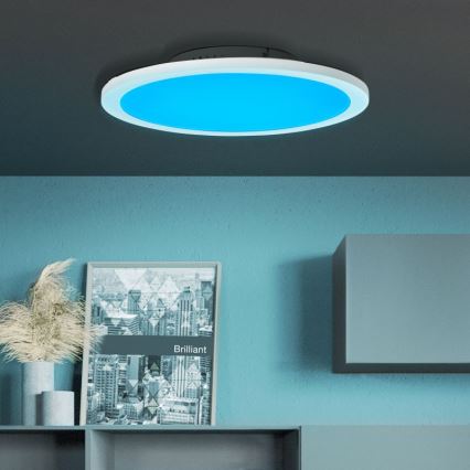 Brilliant - LED RGBW Stmívatelné stropní svítidlo ABIE LED/24W/230V 2700-6500K + dálkové ovládání