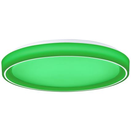 Brilliant - LED RGBW Stmívatelné stropní svítidlo FLOCO LED/34W/230V 3000-6500K pr. 49,5 cm bílá + dálkové ovládání