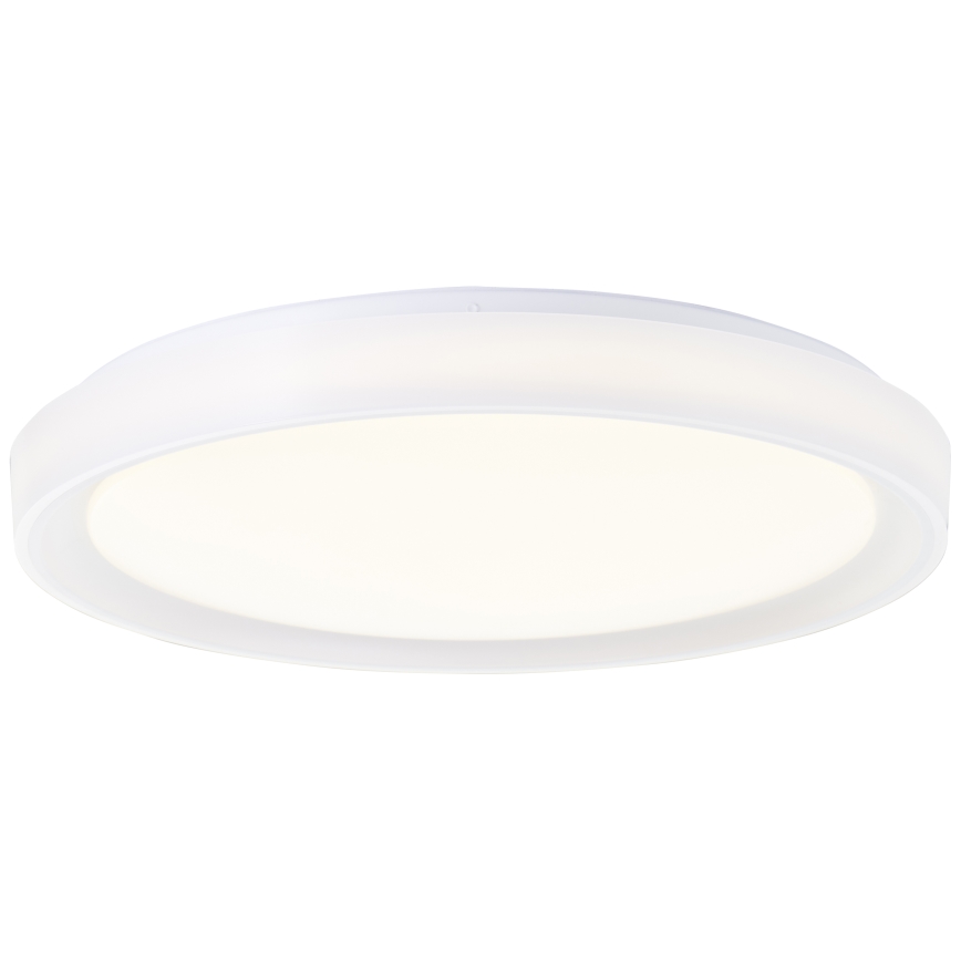 Brilliant - LED RGBW Stmívatelné stropní svítidlo FLOCO LED/34W/230V 3000-6500K pr. 49,5 cm bílá + dálkové ovládání