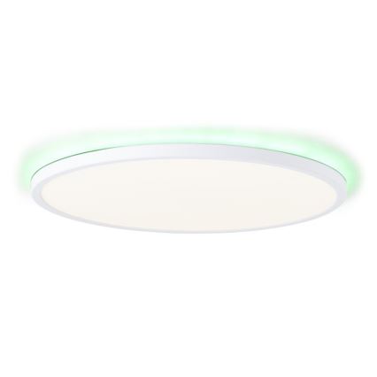 Brilliant - LED RGBW Stmívatelné stropní svítidlo SALTERY LED/22W/230V 3000-6500K + dálkové ovládání