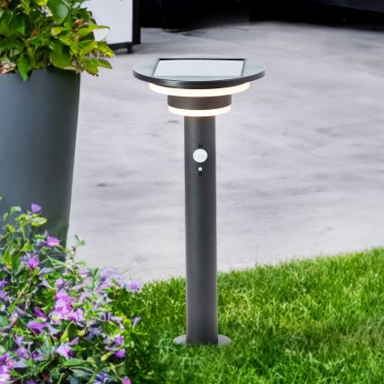 Brilliant - LED Solární lampa se senzorem GARVINA LED/3W/3,7V 45 cm IP44 černá