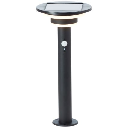Brilliant - LED Solární lampa se senzorem GARVINA LED/3W/3,7V 45 cm IP44 černá
