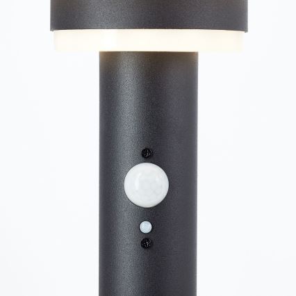 Brilliant - LED Solární lampa se senzorem GARVINA LED/3W/3,7V 45 cm IP44 černá