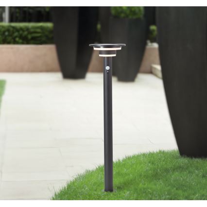 Brilliant - LED Solární lampa se senzorem GARVINA LED/3W/3,7V 85 cm IP44 černá