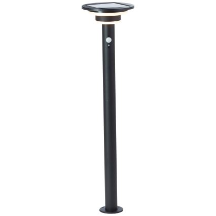 Brilliant - LED Solární lampa se senzorem GARVINA LED/3W/3,7V 85 cm IP44 černá