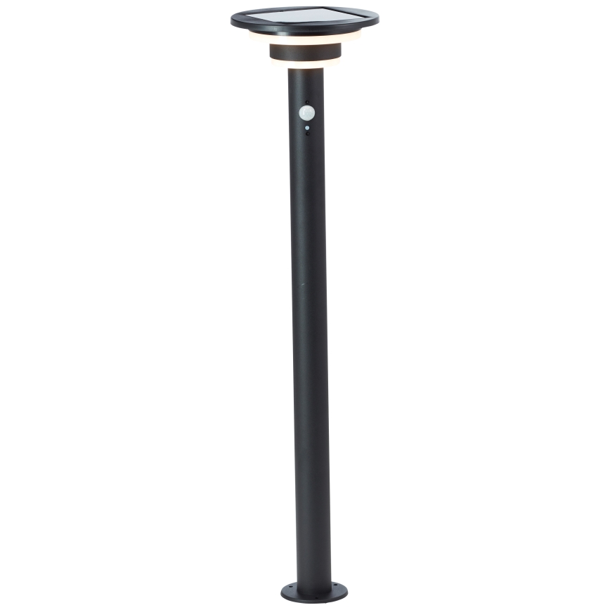 Brilliant - LED Solární lampa se senzorem GARVINA LED/3W/3,7V 85 cm IP44 černá