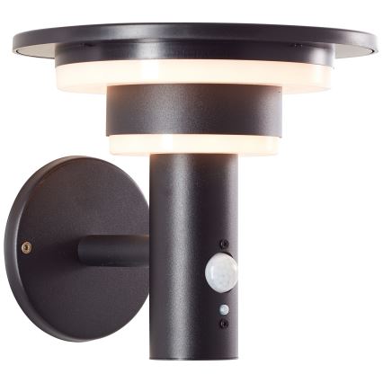 Brilliant - LED Solární nástěnné svítidlo se senzorem GARVINA LED/3W/3,7V IP44 černá