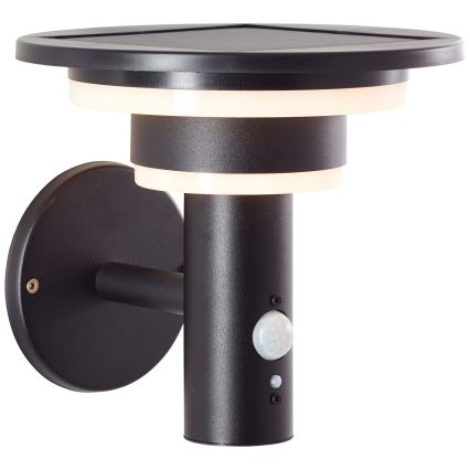 Brilliant - LED Solární nástěnné svítidlo se senzorem GARVINA LED/3W/3,7V IP44 černá