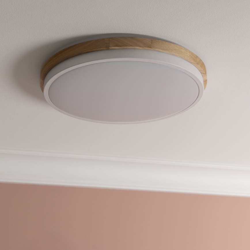 Brilliant - LED Stmívatelné stropní svítidlo BAARLO LED/24W/230V pr. 35 cm bílá/gumovník