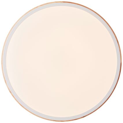 Brilliant - LED Stmívatelné stropní svítidlo BAARLO LED/24W/230V pr. 35 cm bílá/gumovník