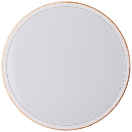 Brilliant - LED Stmívatelné stropní svítidlo BAARLO LED/24W/230V pr. 35 cm bílá/gumovník