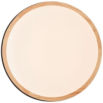 Brilliant - LED Stmívatelné stropní svítidlo BAARLO LED/24W/230V pr. 35 cm černá/gumovník