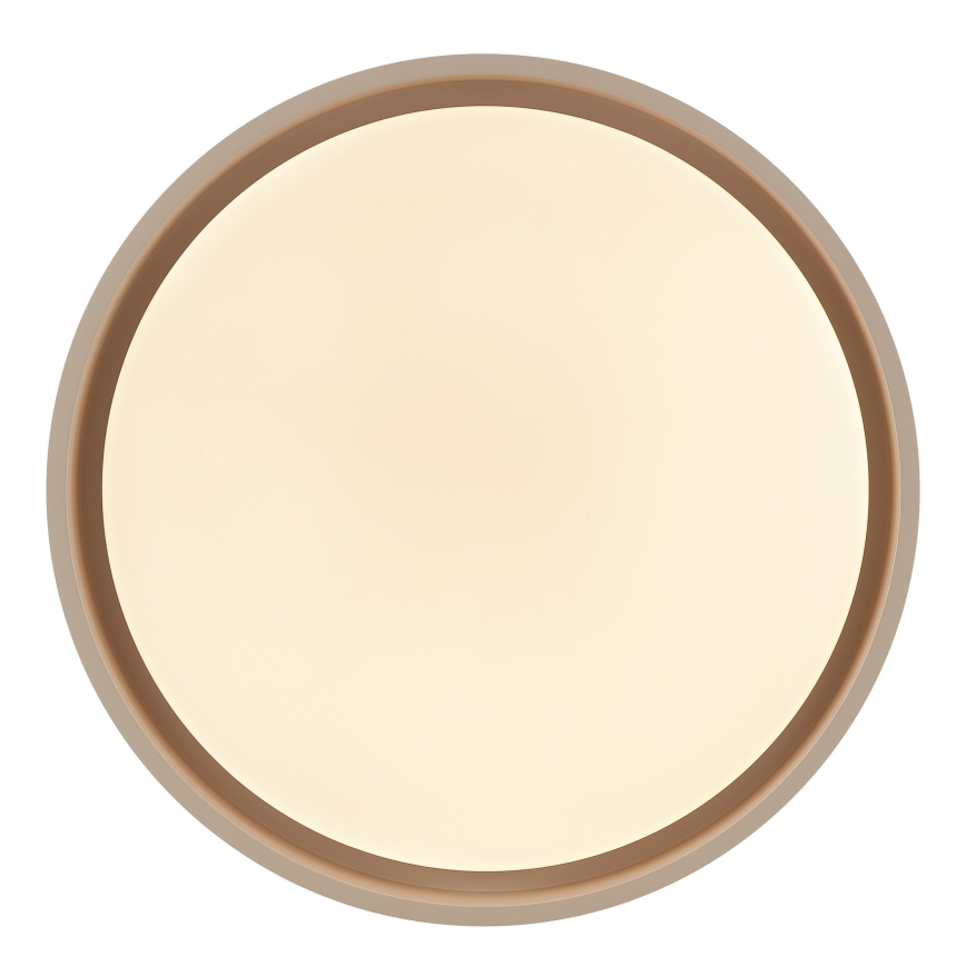 Brilliant - LED Stmívatelné stropní svítidlo SANOZ LED/24W/230V 3000-6500K pr. 41 cm béžová + dálkové ovládání