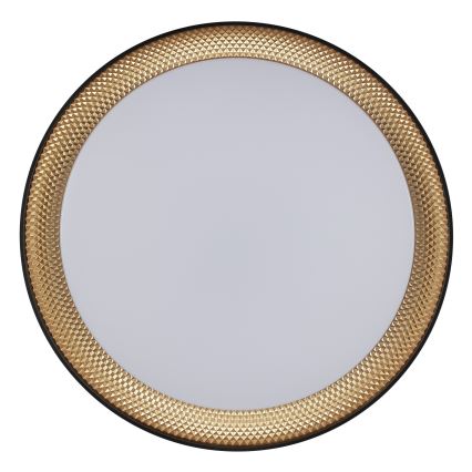 Brilliant - LED Stmívatelné stropní svítidlo WALDO LED/24W/230V 3000-6500K pr. 38,5 cm černá/zlatá + dálkové ovládání