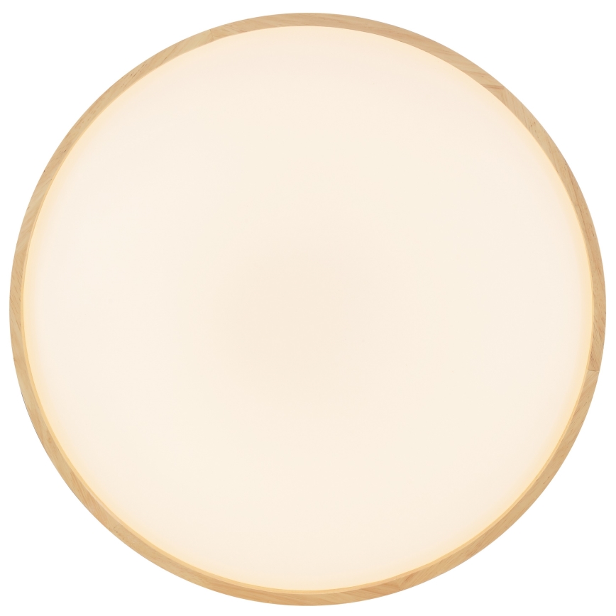 Brilliant - LED Stmívatelné stropní svítidlo ALSON LED/17W/230V 3000-6500K pr. 49,5 cm kaučukovník + dálkové ovládání