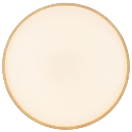 Brilliant - LED Stmívatelné stropní svítidlo ALSON LED/21W/230V 3000-6500K pr. 49,5 cm kaučukovník + dálkové ovládání