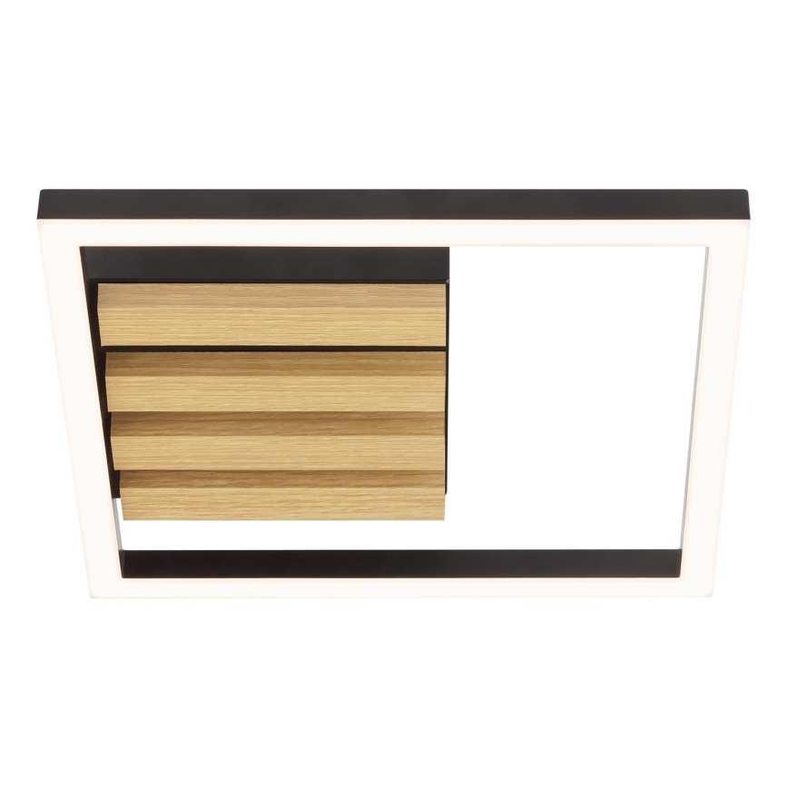 Brilliant - LED Stmívatelné stropní svítidlo CALMA LED/15W/230V černá