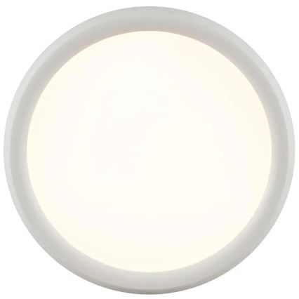 Brilliant - LED Stmívatelné stropní svítidlo CARLOZ LED/16W/230V pr. 30 cm bílá