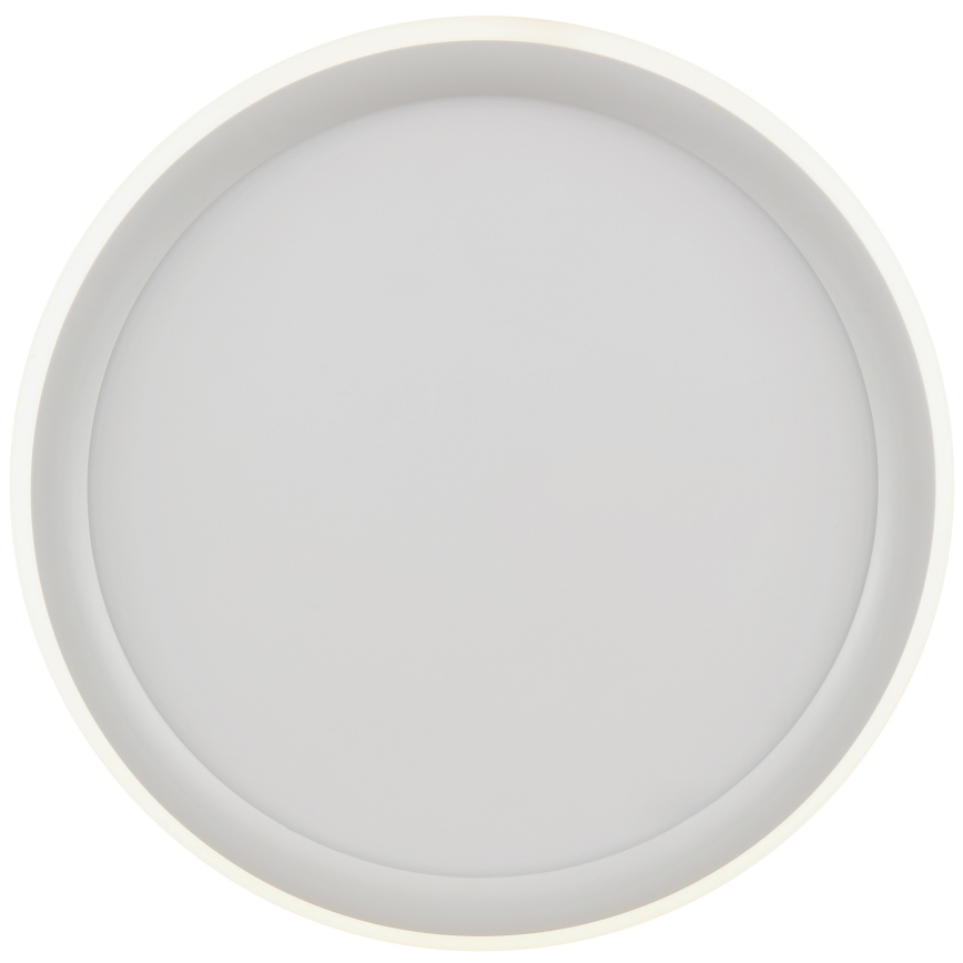 Brilliant - LED Stmívatelné stropní svítidlo CARLOZ LED/16W/230V pr. 30 cm bílá