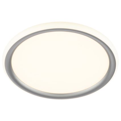 Brilliant - LED Stmívatelné stropní svítidlo CARLOZ LED/16W/230V pr. 30 cm bílá/ šedá