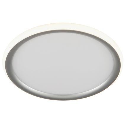 Brilliant - LED Stmívatelné stropní svítidlo CARLOZ LED/16W/230V pr. 30 cm bílá/ šedá