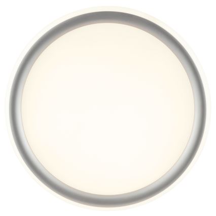 Brilliant - LED Stmívatelné stropní svítidlo CARLOZ LED/16W/230V pr. 30 cm bílá/ šedá