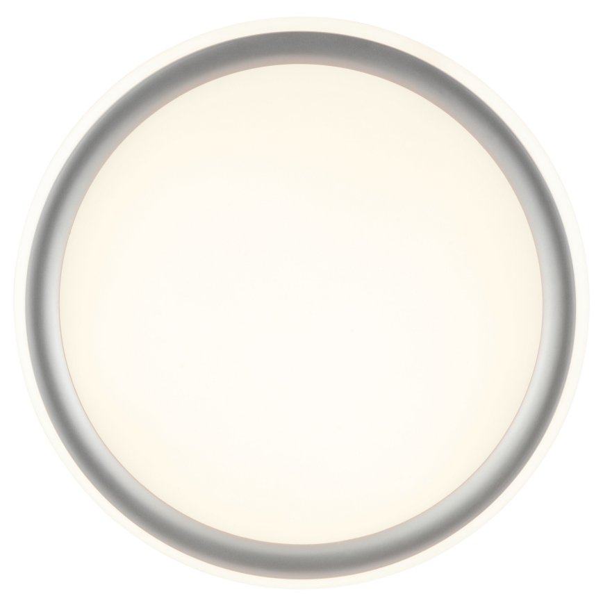 Brilliant - LED Stmívatelné stropní svítidlo CARLOZ LED/16W/230V pr. 30 cm bílá/ šedá