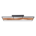 Brilliant - LED Stmívatelné stropní svítidlo CHAUMONT LED/48W/230V gumovník