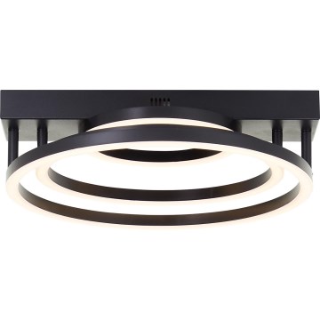 Brilliant - LED Stmívatelné stropní svítidlo PEDLEY LED/36W/230V černá