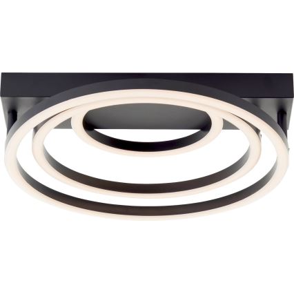Brilliant - LED Stmívatelné stropní svítidlo PEDLEY LED/36W/230V černá
