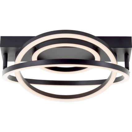 Brilliant - LED Stmívatelné stropní svítidlo PEDLEY LED/36W/230V černá