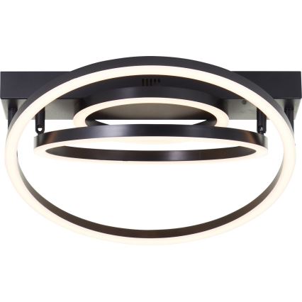 Brilliant - LED Stmívatelné stropní svítidlo PEDLEY LED/36W/230V černá