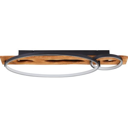 Brilliant - LED Stmívatelné stropní svítidlo PIRUS LED/30W/230V 30x70 cm gumovník