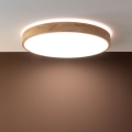 Brilliant - LED Stmívatelné stropní svítidlo SLIMLINE LED/60W/230V 3000-6500K pr. 45 cm béžová + dálkové ovládání