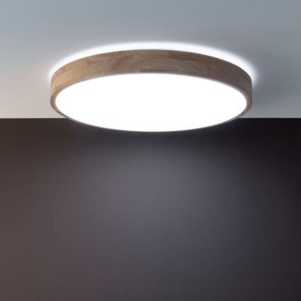 Brilliant - LED Stmívatelné stropní svítidlo SLIMLINE LED/60W/230V 3000-6500K pr. 45 cm gumovník + dálkové ovládání