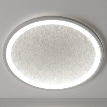 Brilliant - LED Stmívatelné stropní svítidlo TANIDA LED/31W/230V 3000-6500K + dálkové ovládání
