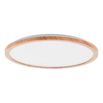 Brilliant - LED Stmívatelné stropní svítidlo TUCO LED/20W/230V pr. 29,5 cm bílá/béžová