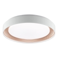 Brilliant - LED Stmívatelné stropní svítidlo WALDO LED/24W/230V 3000-6500K pr. 38,5 cm bílá/rose gold + dálkové ovládání