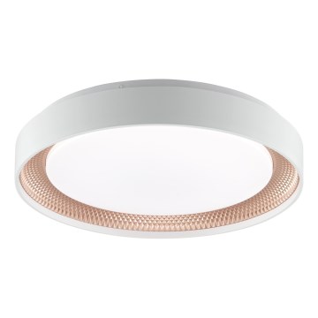 Brilliant - LED Stmívatelné stropní svítidlo WALDO LED/24W/230V 3000-6500K pr. 38,5 cm bílá/rose gold + dálkové ovládání