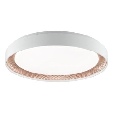 Brilliant - LED Stmívatelné stropní svítidlo WALDO LED/36W/230V 3000-6500K pr. 48,5 cm bílá/rose gold + dálkové ovládání