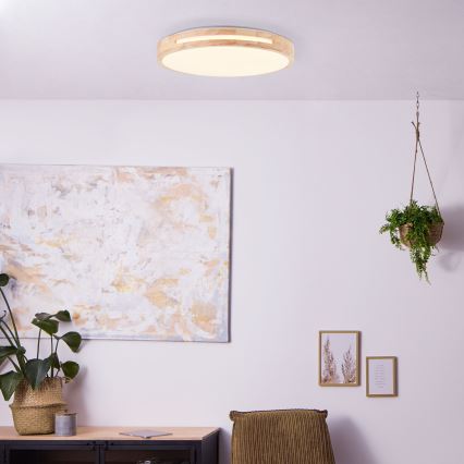 Brilliant - LED Stmívatelné stropní svítidlo WOODBURY LED/24W/230V pr. 39 cm gumovník