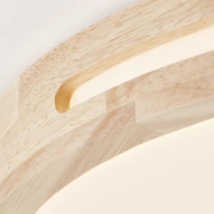 Brilliant - LED Stmívatelné stropní svítidlo WOODBURY LED/24W/230V pr. 39 cm gumovník