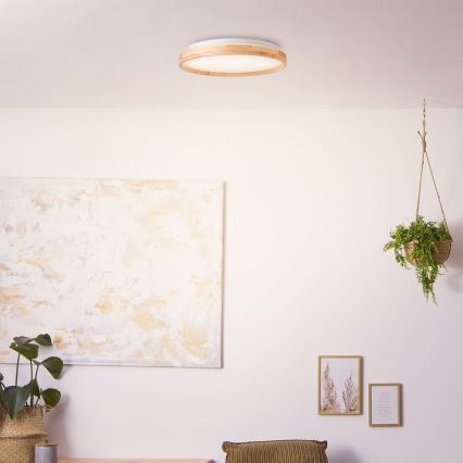 Brilliant - LED Stropní svítidlo ALSON LED/26W/230V 3000/4500K pr. 39,5 cm gumovník
