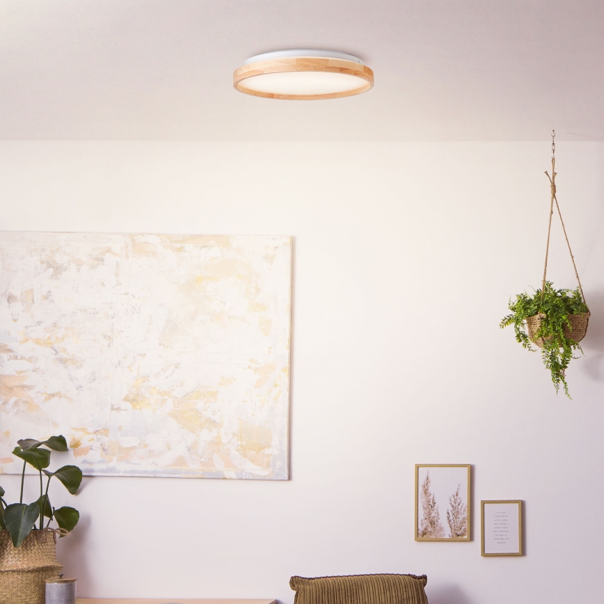 Brilliant - LED Stropní svítidlo ALSON LED/26W/230V 3000/4500K pr. 39,5 cm gumovník
