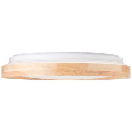 Brilliant - LED Stropní svítidlo ALSON LED/26W/230V 3000/4500K pr. 39,5 cm gumovník