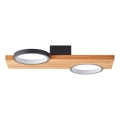 Brilliant - LED Stropní svítidlo CHEESY LED/14W/230V borovice