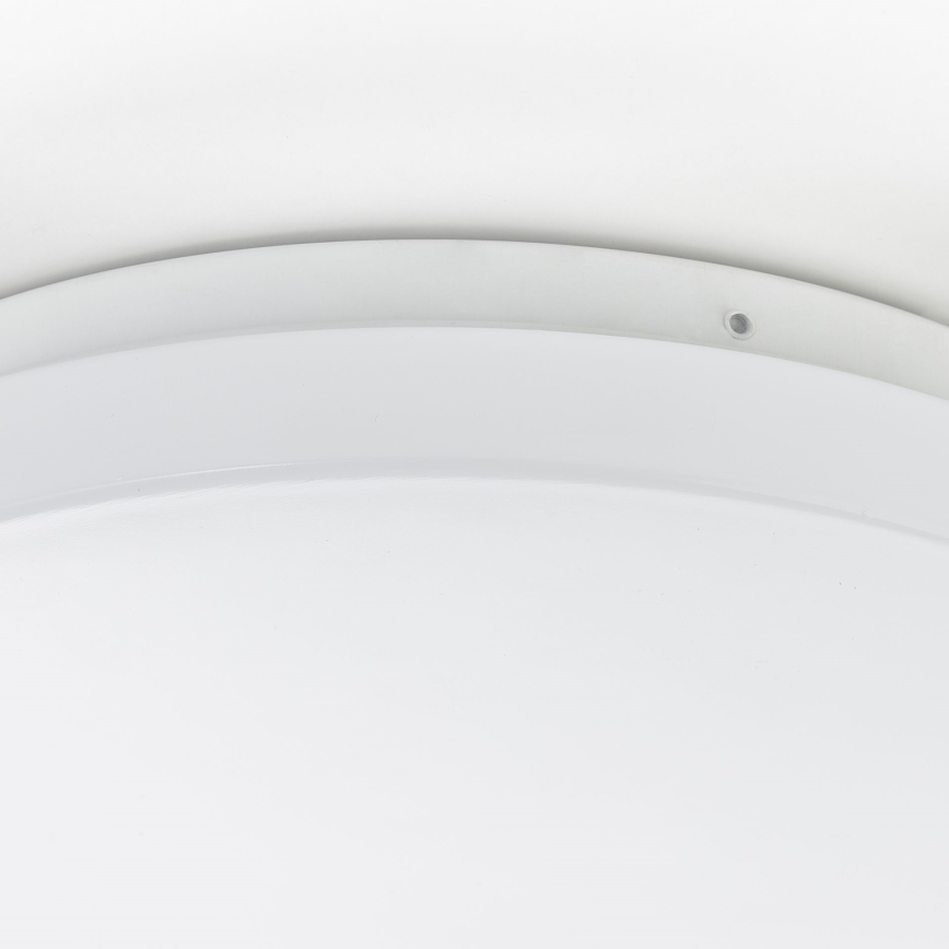 Brilliant - LED Stropní svítidlo FARICA LED/12W/230V pr. 26 cm bílá