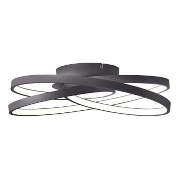 Brilliant - LED Stropní svítidlo LABYRINTH LED/40W/230V pr. 39,5 cm černá